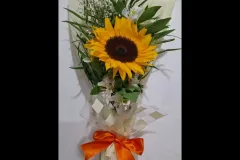 1-girasol