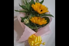 2-girasoles