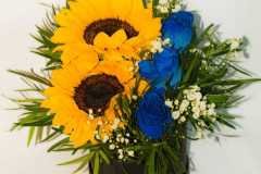 WhatsApp-Image-2025-02-13-at-06.44.05-1