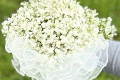 boda-16