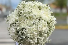 boda-3