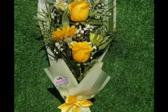 producto11