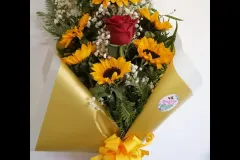 producto12