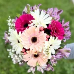 Primaveral