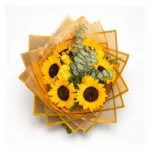 Celebración de Girasoles y Rosas