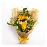 Dueto de Rosa y Girasol