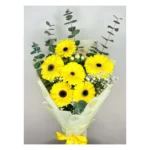 Seis Gerberas de Luz