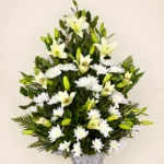 Elegancia Blanca